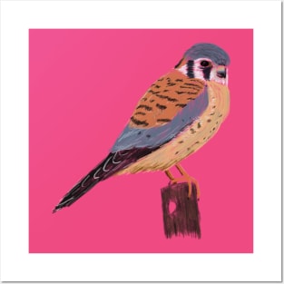 American Kestrel Posters and Art